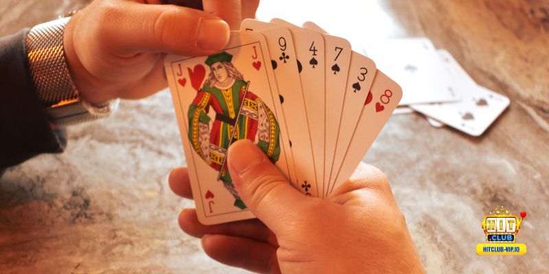 Nguyên tắc xếp 3 chi