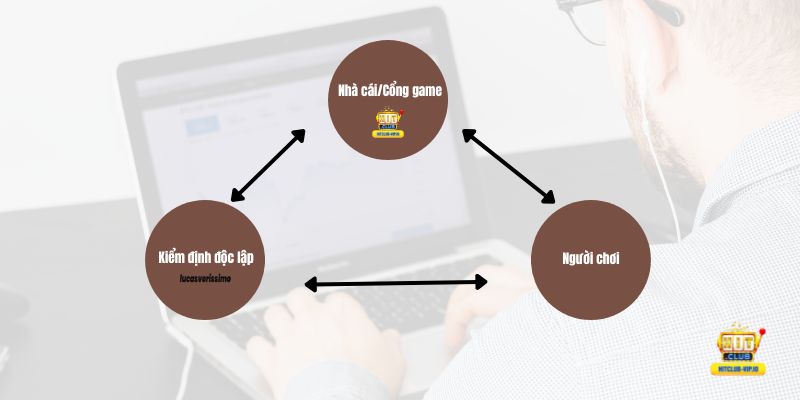 Vai trò của Lucas Verissimo tại Hitclub-vip.io